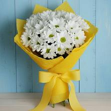 Букет цветов из:  Хризантемы в Ахметовскую