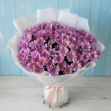 Букет цветов из:  Хризантемы в Ахметовскую