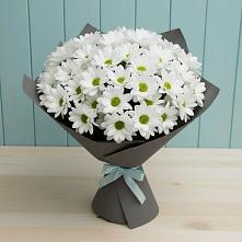 Букет цветов из:  Хризантемы в Ахметовскую
