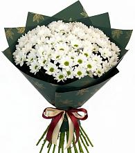 Букет цветов из:  Хризантемы #REPLACE_PRED# Ахметовскую