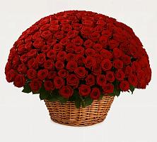 Премиум букет из: Розы в Ахметовскую