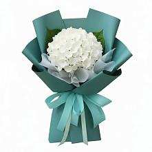Букет цветов из:  Гортензия в Ахметовскую